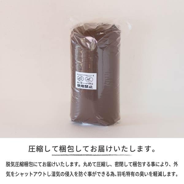 一生紀（ISSEIKI） 【アウトレット】 羽毛布団 シングル ダウン ネルラ