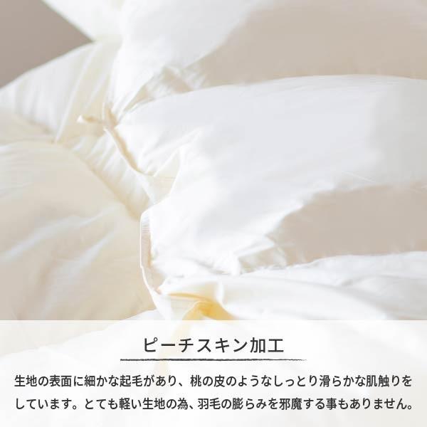 一生紀（ISSEIKI） 【アウトレット】 羽毛布団 ダブル ダウン ネルラ