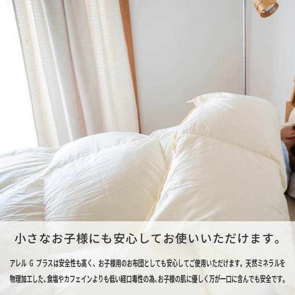 一生紀（ISSEIKI） 【アウトレット】 羽毛布団 ダブル ダウン ネルラ