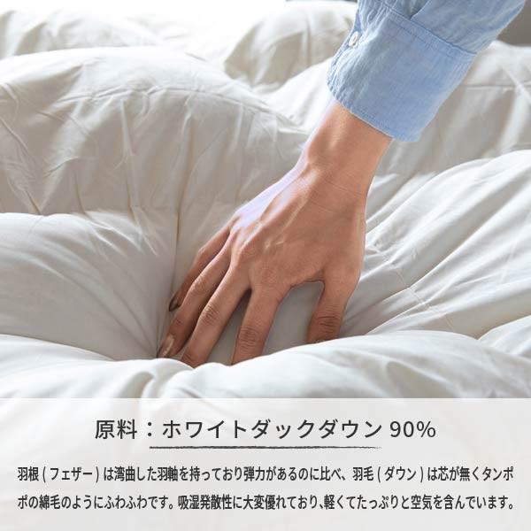 一生紀（ISSEIKI） 【アウトレット】 羽毛布団 ダブル ダウン ネルラ