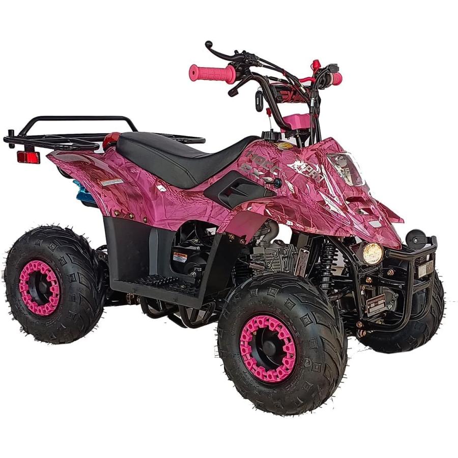 並行輸入品】タオタオ キッズ用 110cc ガソリン ATV 四輪 フル