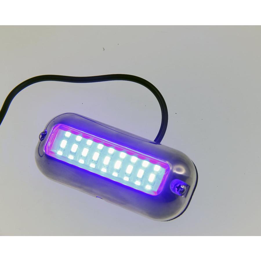 【並行輸入品】Pactrade Marine Pontoonボート27 LED水中ライト(SS) 316ハウジング、ブルー、2ピースの画像