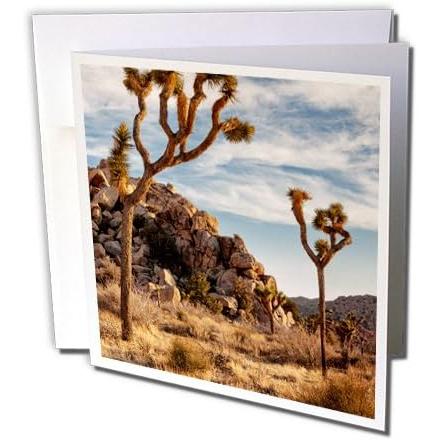【並行輸入品】3dRose Danita Delimont - Joshua Tree - California Joshua Tree Natio