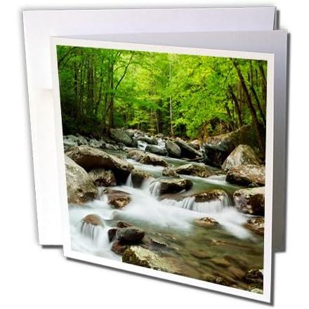 【並行輸入品】Danita Delimont Great Smoky Mountains テネシー州、グレート・スモーキー山脈国立公園。Lit