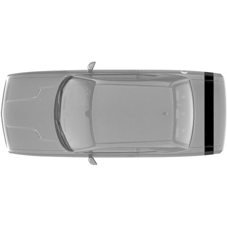 【並行輸入品】Rear Single 8 inch Vinyl Rally Racing Stripes ( Fitsダッジチャレンジャー) PC-Cの画像