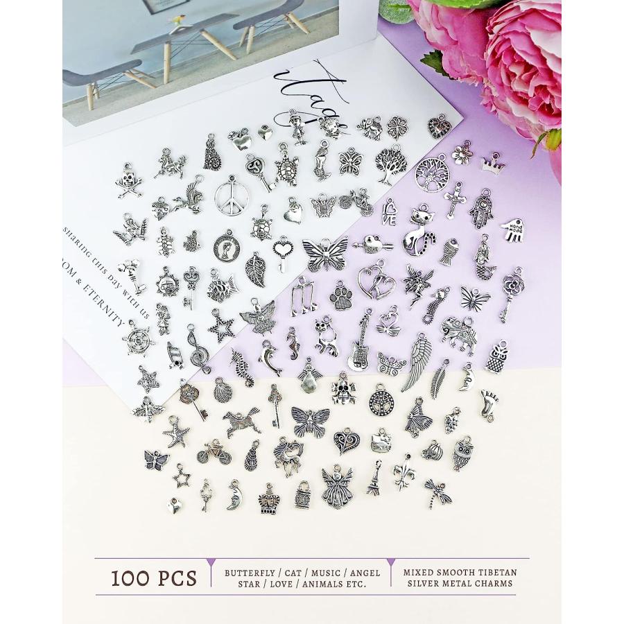 【並行輸入品】(100 PCS Mixed) - Wholesale Bulk Lots Jewellery Making Silver Charms_4