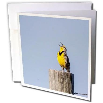 【並行輸入品】3dRose Danita Delimont - Birds - Male Meadowlark Sings on fencepost