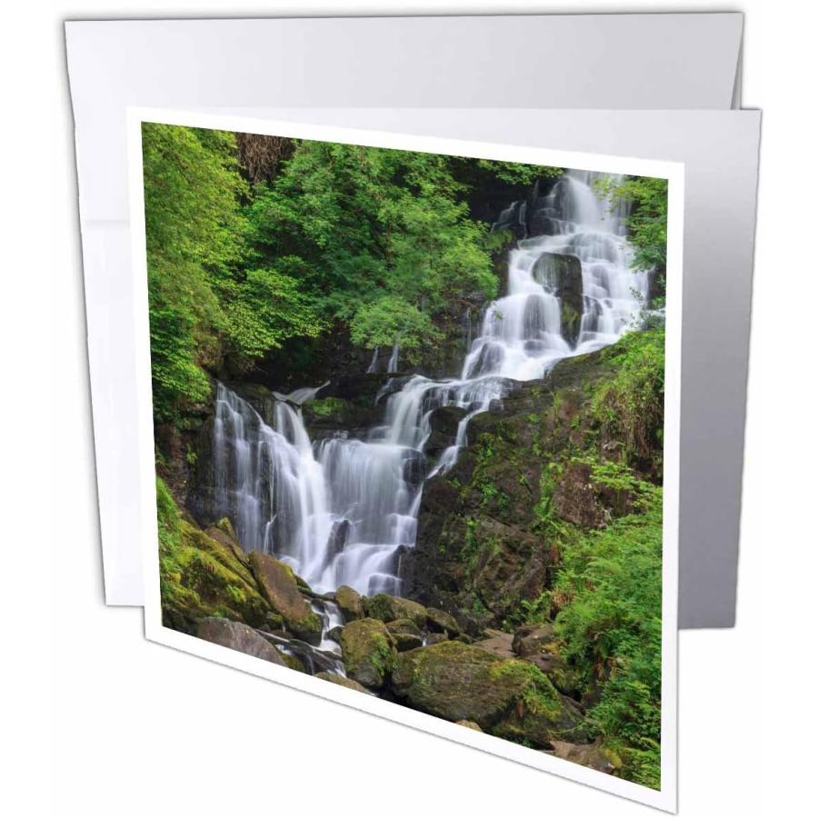 【並行輸入品】Danita Delimont 滝Waterfall Torc Killarneyアイルランド国立公園、 eu15 tno