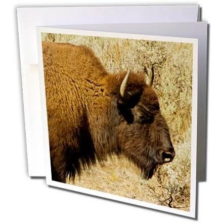 【並行輸入品】3dRose Bison profile Lamar Valley Yellowstone National Park ... -