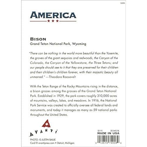 【並行輸入品】Bison In Grand Teton National Park Avanti Americaコレクション空白注意カードの画像