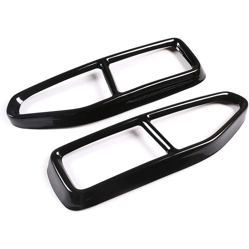 【並行輸入品】Stainless Steel Exterior End Pipe Tail Exhaust Pipe Output Cover Triの画像