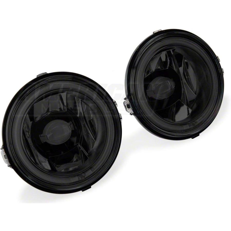 【並行輸入品】Raxiom CCFL Haloフォグランプ スモーク 13-14 マスタングGT対応の画像
