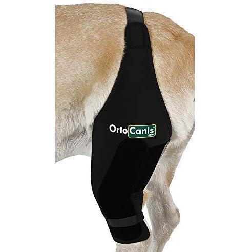【並行輸入品】Ortocanis - Knee Brace for Dogs with Ligament Rupture and Patella Lu_5