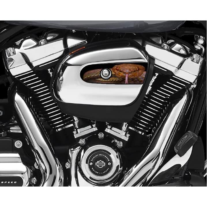 特売中 Viper Snake Air Cleaner Cover Insert by Kustom Cycle Parts. Replaces Stock Harley Davidson M8 / 107 Insert. Proudly Made in the USA　並行輸入品