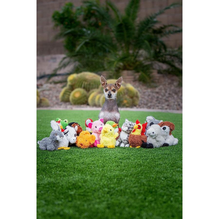 【並行輸入品】 Multipet's Look Who's Talking Plush Filled Chicken 5.5-Inch Dog Toy_1