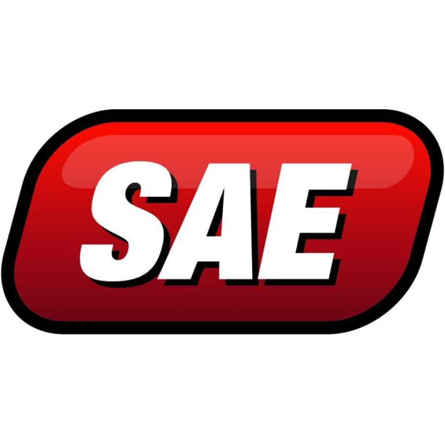 【並行輸入品】 Performance Tool W54217 8 Pc SAE Grease Fitting Asstmnt　_2