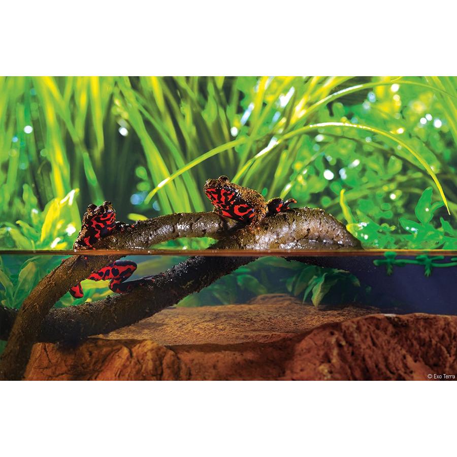 直売値下げ Exo Terra Jungle Vine Reptile Terrarium Decoration Small PT3085　並行輸入品