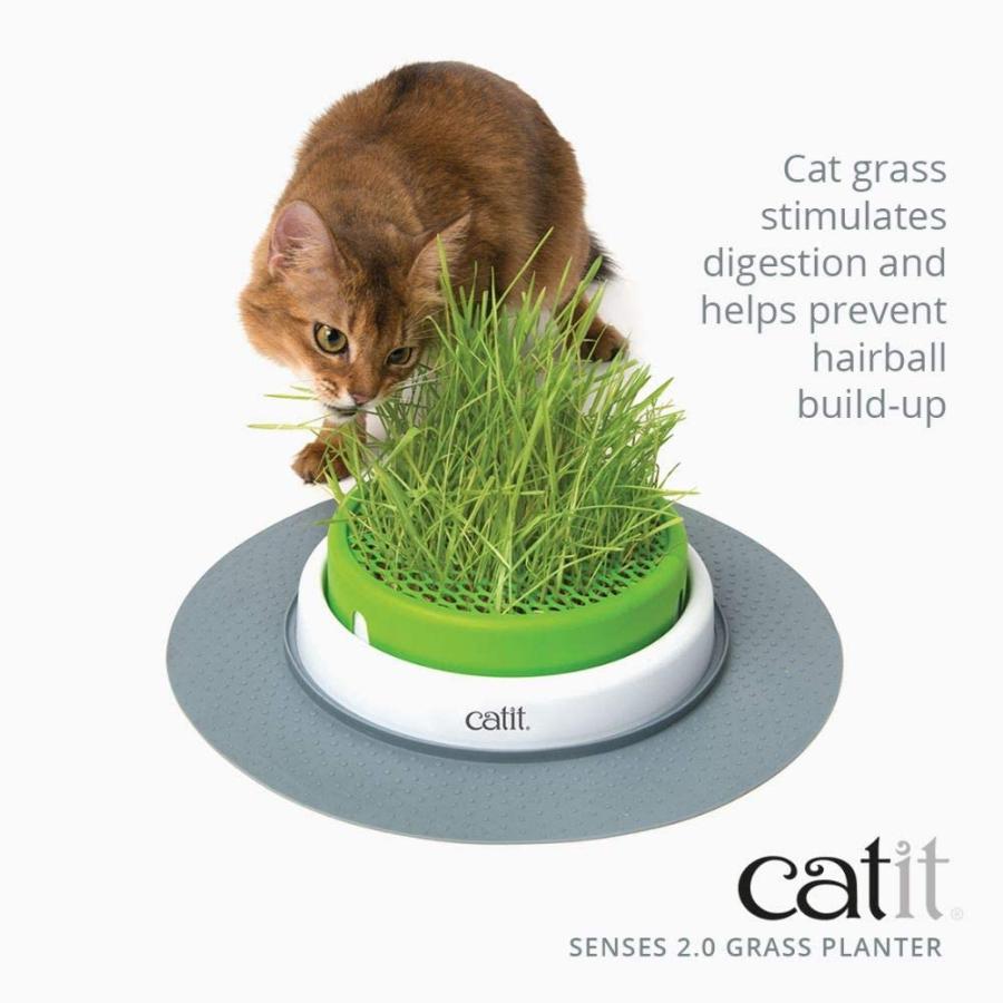 Catit Senses 2.0 Grass Planter by Catit　並行輸入品｜dep-good-choice｜02