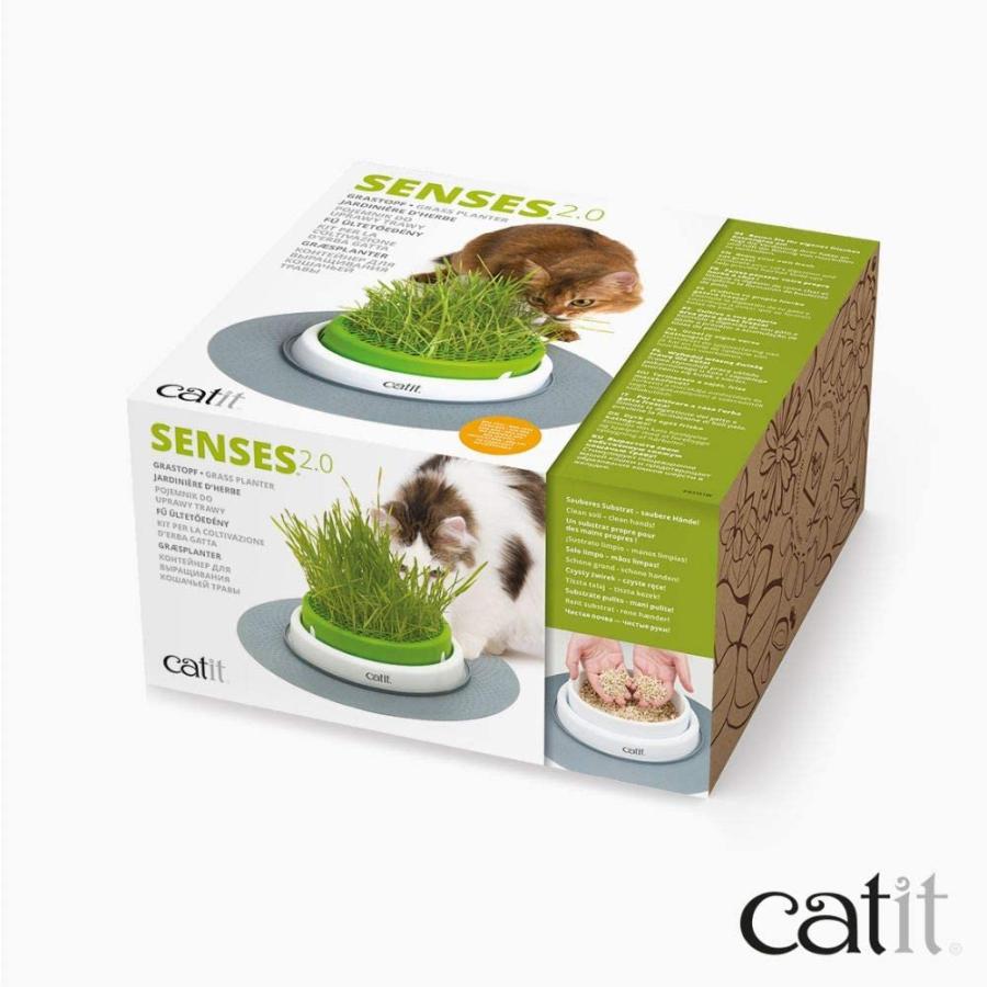 Catit Senses 2.0 Grass Planter by Catit　並行輸入品｜dep-good-choice｜07
