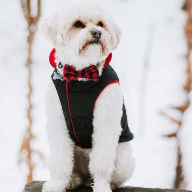 【並行輸入品】 Gooby Sports Vest Dog Jacket - Black Medium - Reflective Dog Vest_5