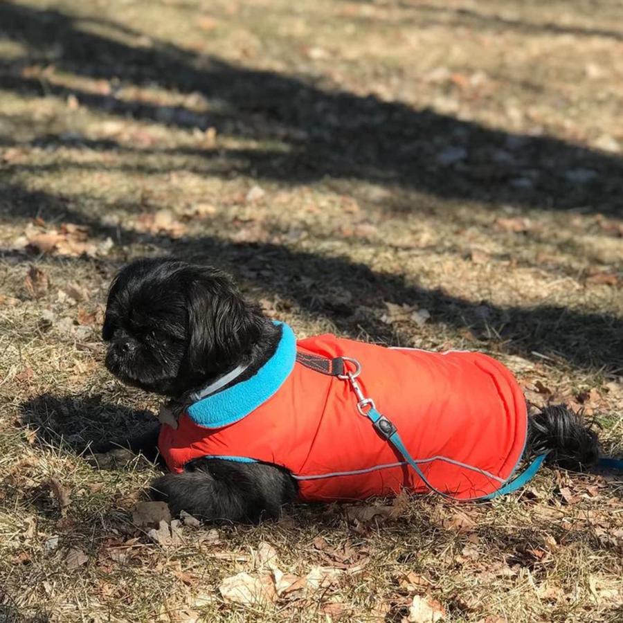 【並行輸入品】 Gooby Sports Vest Dog Jacket - Orange Medium - Reflective Dog Vest_7