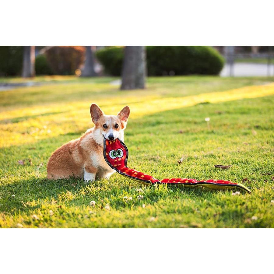 【並行輸入品】 Outward Hound Invincibles Toughseamz Durable Plush Dog Toy Snake 6_5