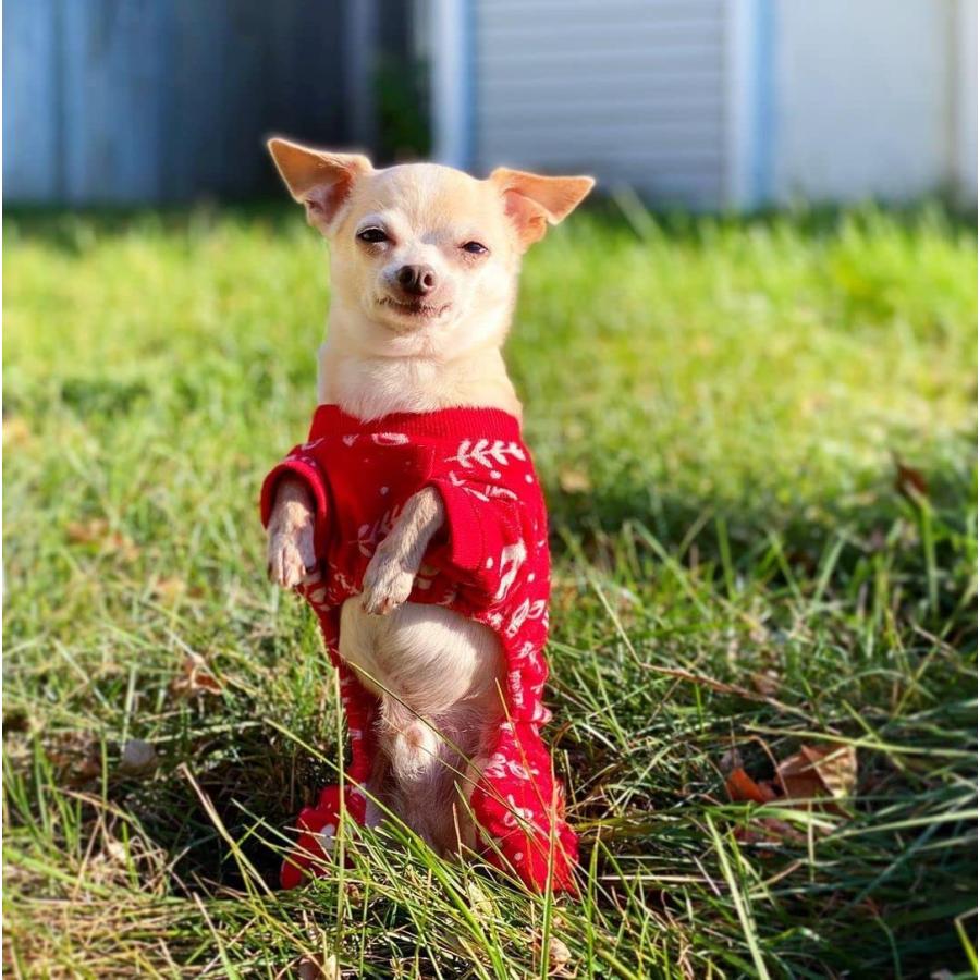 CuteBone Dog Pajamas Christmas Tree Branches Dog Apparel Dog