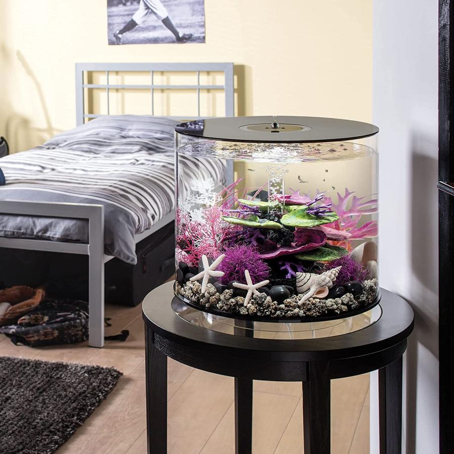 新規購入新規購入biOrb Tube 35 Aquarium With MCR 9.2 Gallon Black 並行輸入品 水槽 biOrb Tube 15 Aquarium with LED Gallon White 並行輸入品