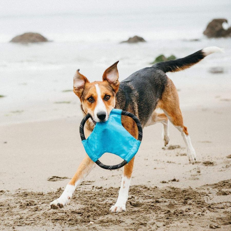 【並行輸入品】 ZippyPaws - Rope Gliderz Durable Outdoor Dog Toy Flying Disc - Blue_2