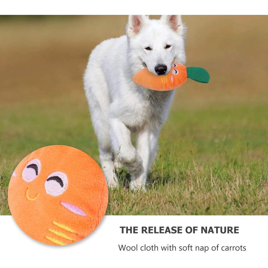 Pet Supplies : UEETEK Dog Pet Puppy Sound Chew Squeaker Squeaky Paly Toys  Plush Carrot Toy 2pcs 