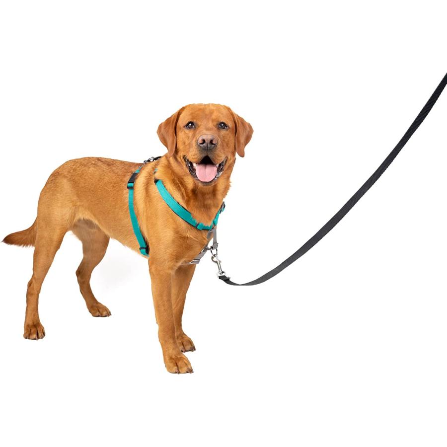 PetSafe 【並行輸入品】 PetSafe 3 in 1 Dog Harness - No Pull