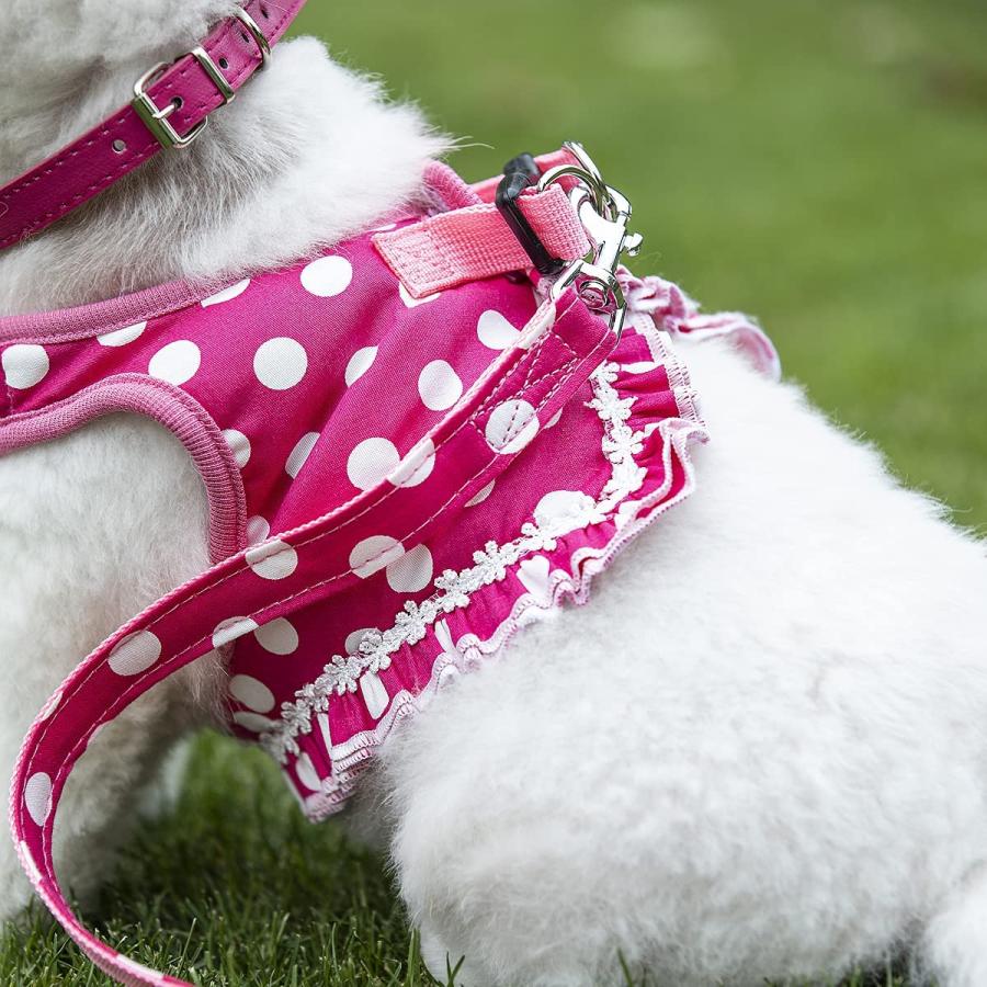 【並行輸入品】 Cute Small Dog Harness Ladies Polka Dots Dog Vest Harness Set with_3