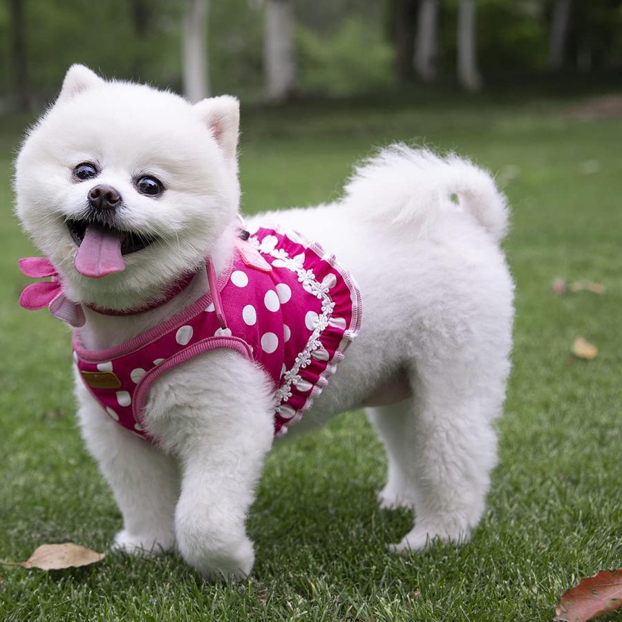 【並行輸入品】 Cute Small Dog Harness Ladies Polka Dots Dog Vest Harness Set with_4