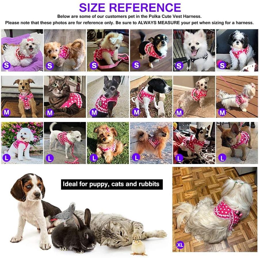 【並行輸入品】 Cute Small Dog Harness Ladies Polka Dots Dog Vest Harness Set with_5