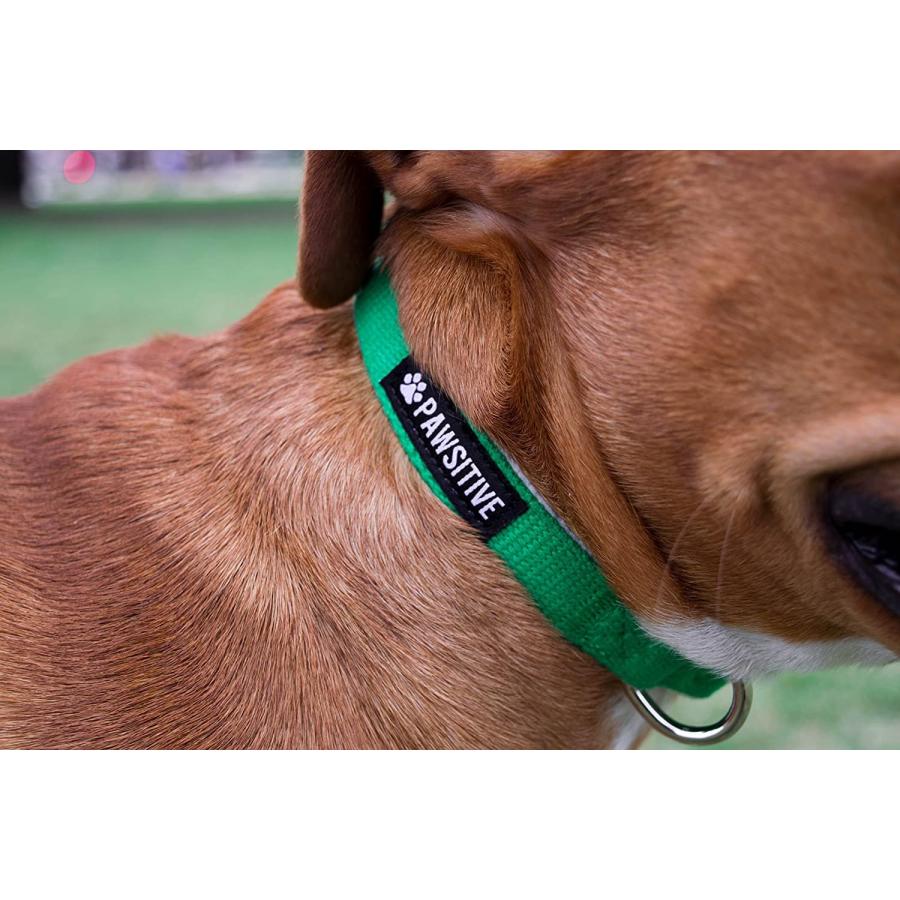 【並行輸入品】 Pawsitive Hemp Dog Collar - Green Dog Collar - We Donate a Collar f_4