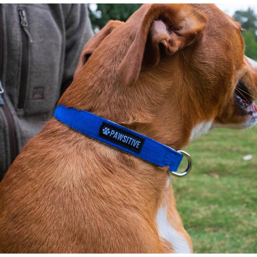 【並行輸入品】 Pawsitive Hemp Dog Collar - We Donate a Collar for Every Collar Sol_1