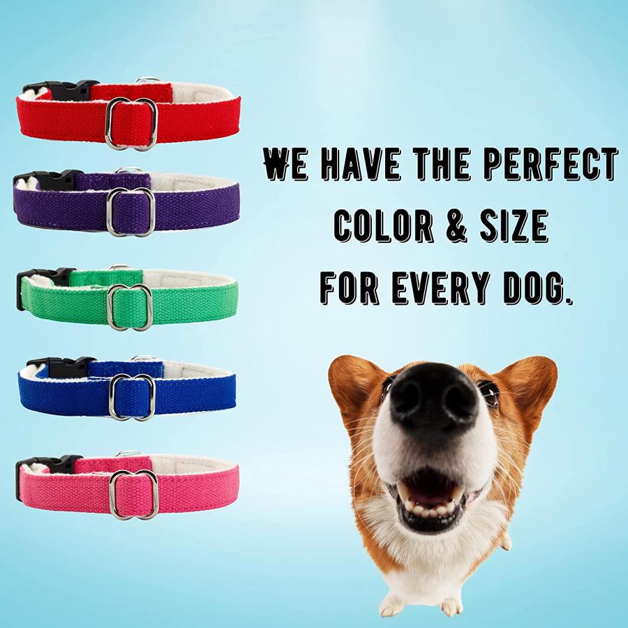 【並行輸入品】 Pawsitive Hemp Dog Collar - We Donate a Collar for Every Collar Sol_3