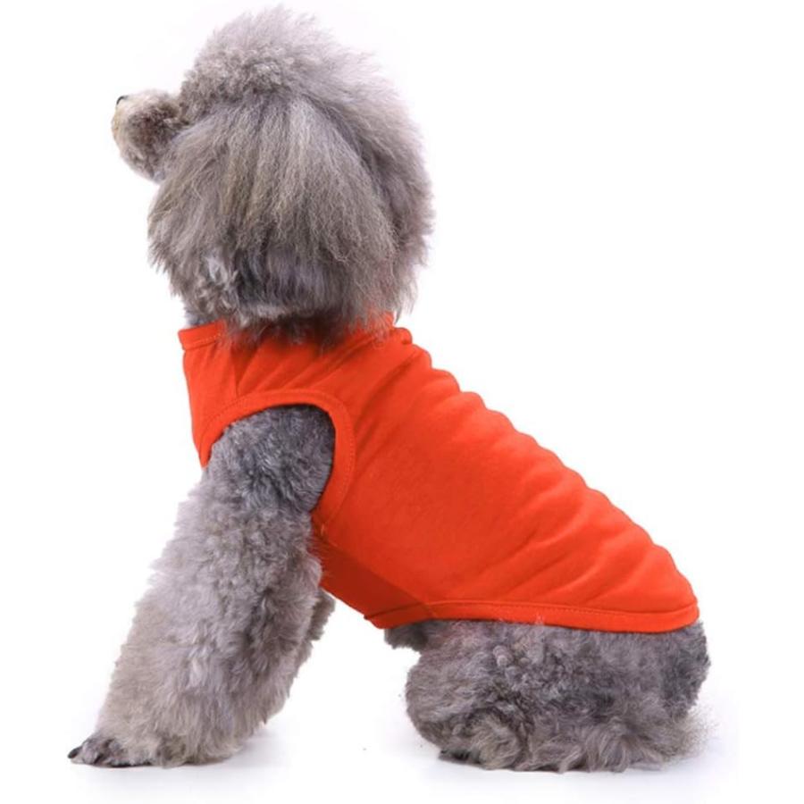 ブランド登録なし - 【並行輸入品】 Dog Shirts Clothes  Chol\u0026Vivi Dog Clothes T Shirt Vest Soft and Thi