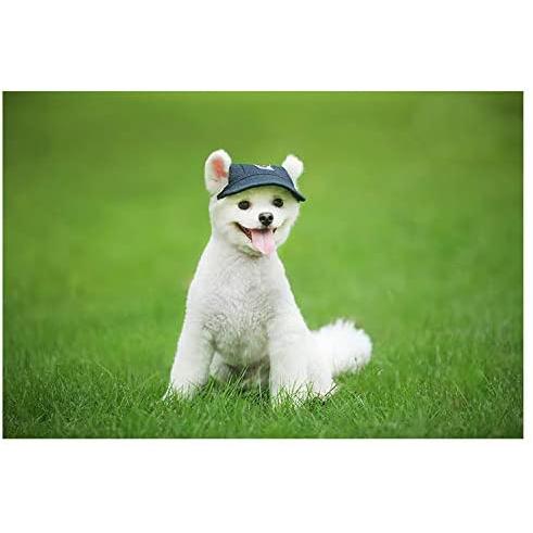 【並行輸入品】 Leconpet Baseball Caps Hats with Neck Strap Adjustable Comfortableの画像