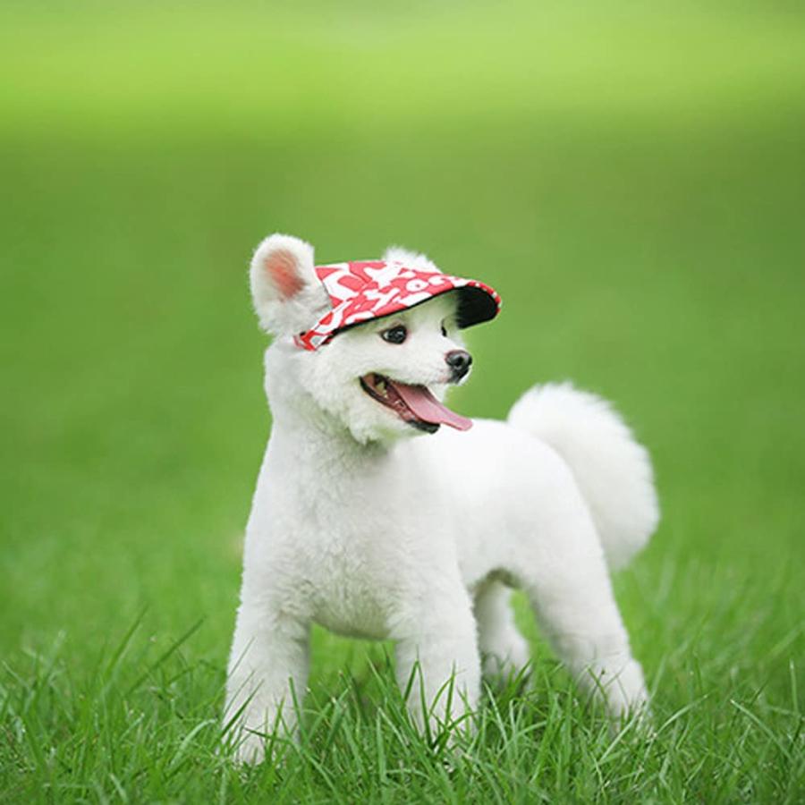【並行輸入品】 Leconpet Baseball Caps Hats with Neck Strap Adjustable Comfortable