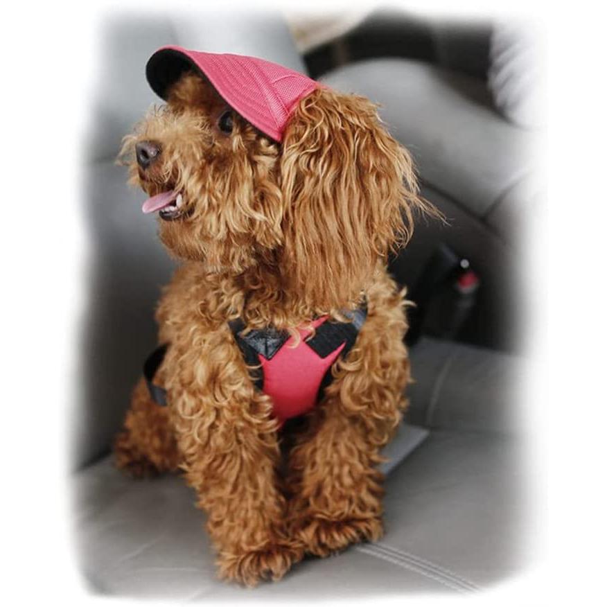 【並行輸入品】 Leconpet Baseball Caps Hats with Neck Strap Adjustable Comfortable