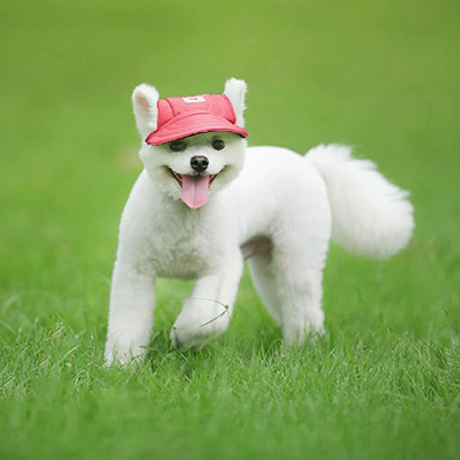 【並行輸入品】 Leconpet Baseball Caps Hats with Neck Strap Adjustable Comfortable