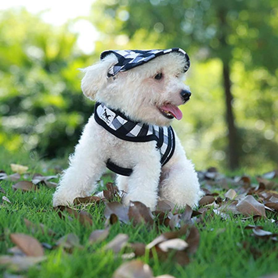 【並行輸入品】 Leconpet Baseball Caps Hats with Neck Strap Adjustable Comfortable
