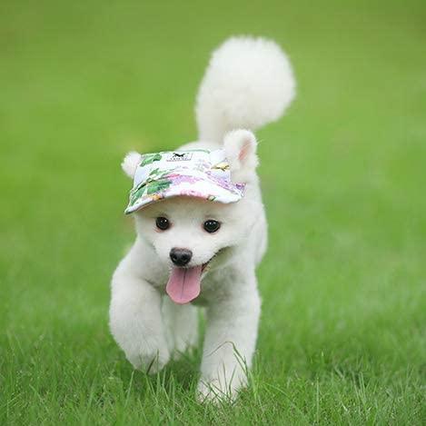 【並行輸入品】 Leconpet Baseball Caps Hats with Neck Strap Adjustable Comfortable