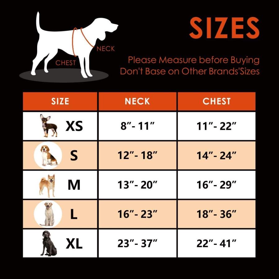 【並行輸入品】 PHOEPET No Pull Dog Harnesses for Small Puppies Reflective Adjustab_3