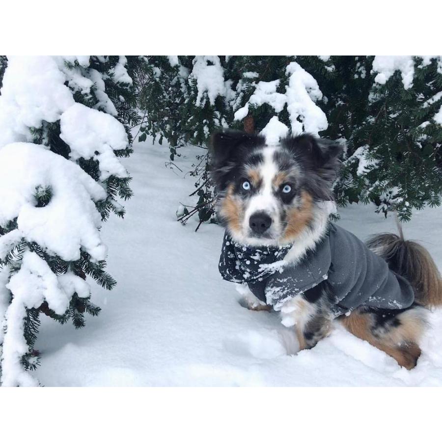 【並行輸入品】 Gooby Stretch Fleece Vest Dog Sweater - Gray 5X-Large - Warm Pullo_5