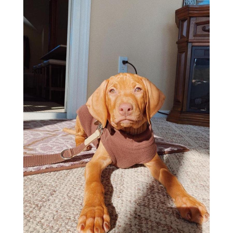 直売大セール Gooby Stretch Fleece Vest Dog Sweater - Brown Large - Warm Pullover Fleece Dog Jacket - Winter Dog