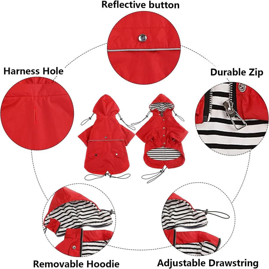 藤原樹パネル THE RAMPAGE 藤原樹 ポストカード キャンペーン