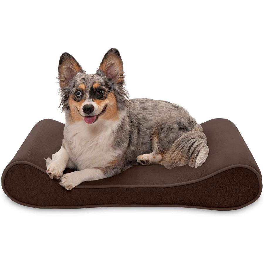Furhaven Medium Cooling Gel Foam Dog Bed Microvelvet Luxe Lounger w