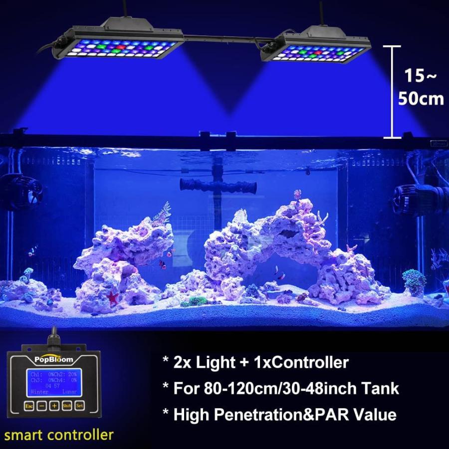PopBloom T30 Reef 2 x Turing30 電灯+1 制御装置 4チャンネル調 PopBloom T30 Reef 2 x Turing30 電灯+1 制御装置 4チャンネル調